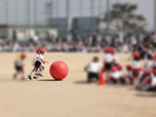 秀斗運動会3.gif